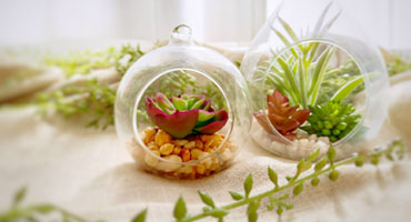 さいたま市指扇駅から徒歩2分。プライベートビューティー脱毛サロンGreenCharme|CONCEPT